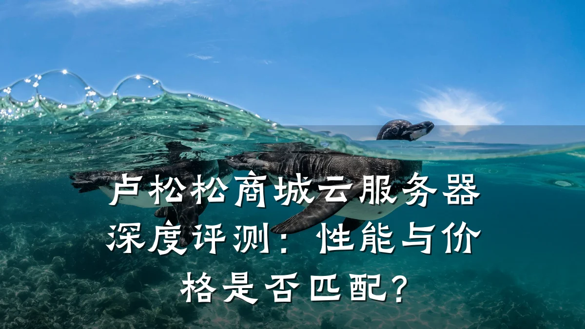 卢松松商城云服务器深度评测:性能与价格是否匹配?