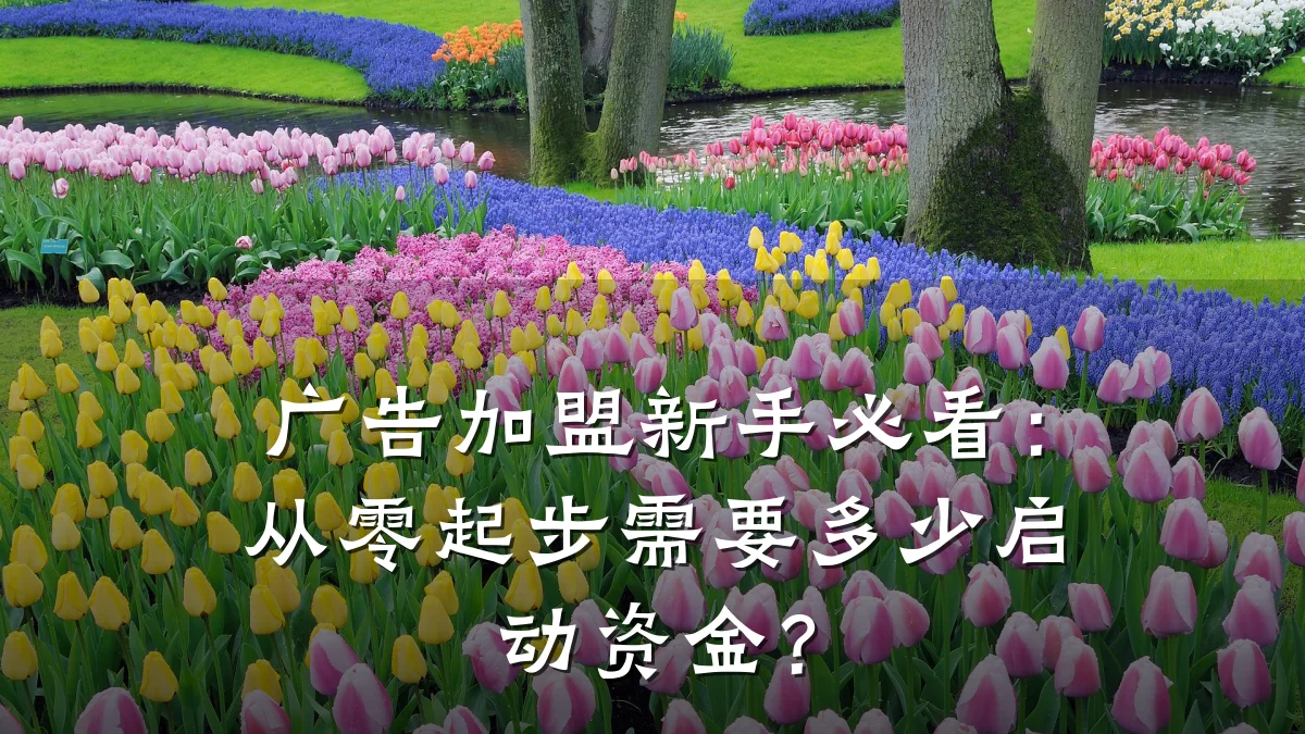 广告加盟新手必看:从零起步需要多少启动资金?
