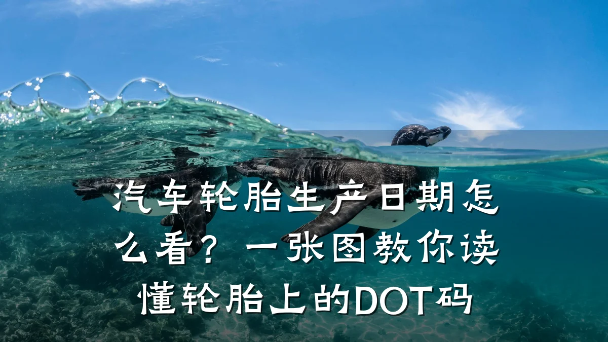 汽车轮胎生产日期怎么看?一张图教你读懂轮胎上的DOT码