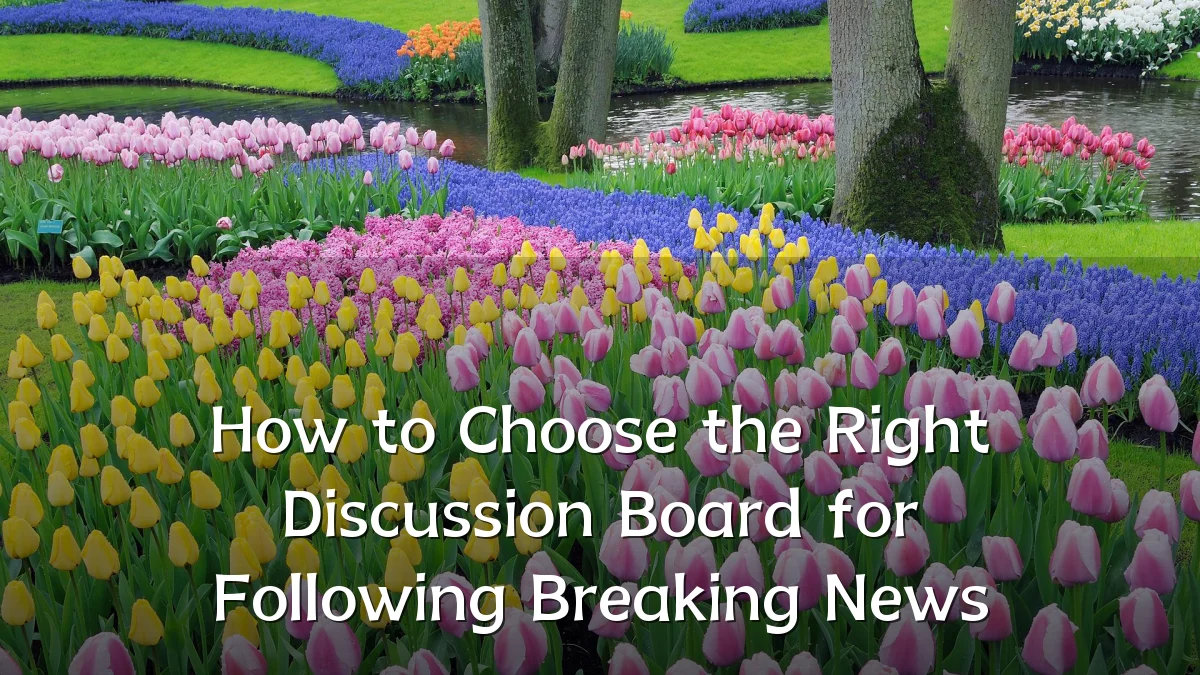 How to Choose the Right Discussion Board for Following Breaking News