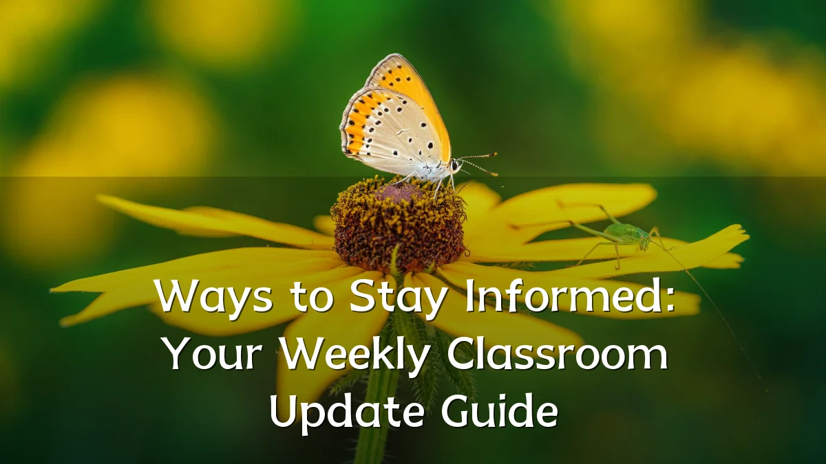 Ways to Stay Informed: Your Weekly Classroom Update Guide