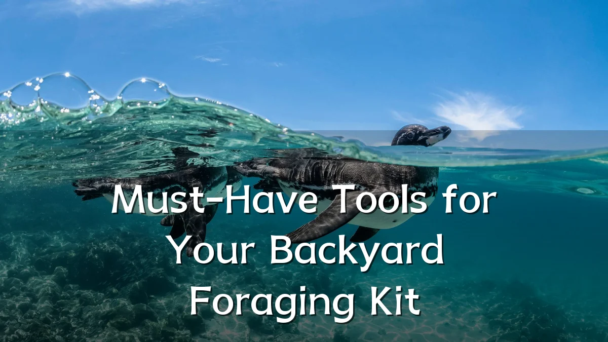 Must-Have Tools for Your Backyard Foraging Kit