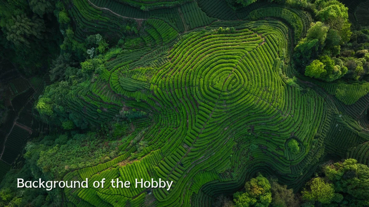 Background of the Hobby