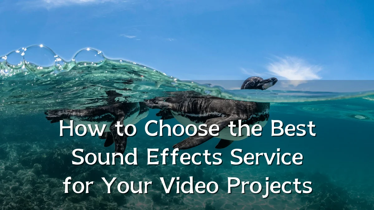 How to Choose the Best Sound Effects Service for Your Video Projects