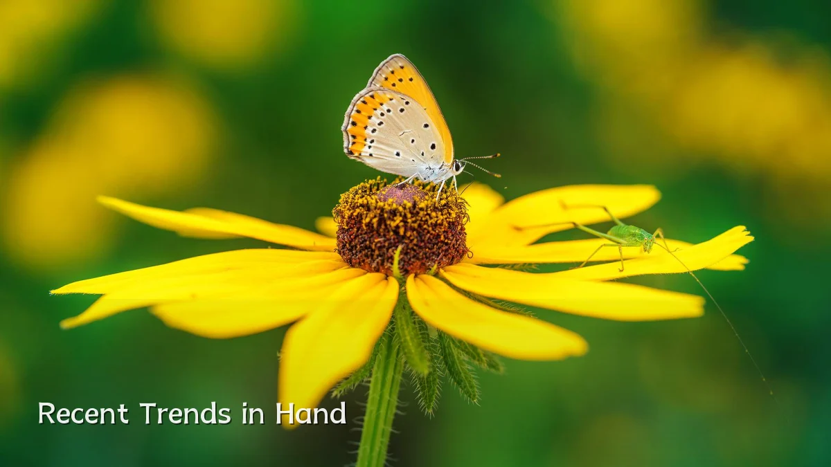 Recent Trends in Hand