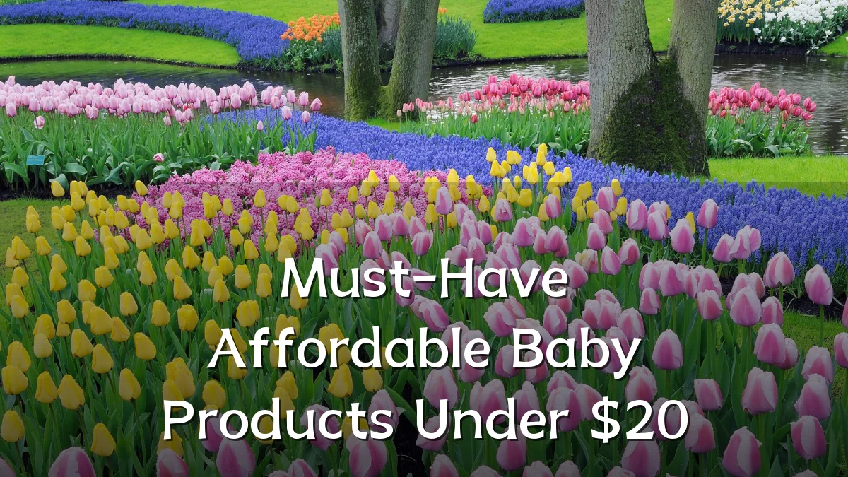 Must-Have Affordable Baby Products Under $20