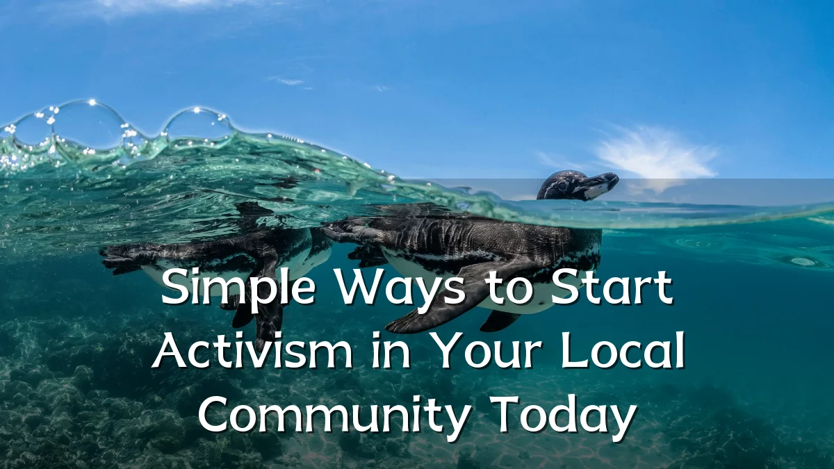 Simple Ways to Start Activism in Your Local Community Today