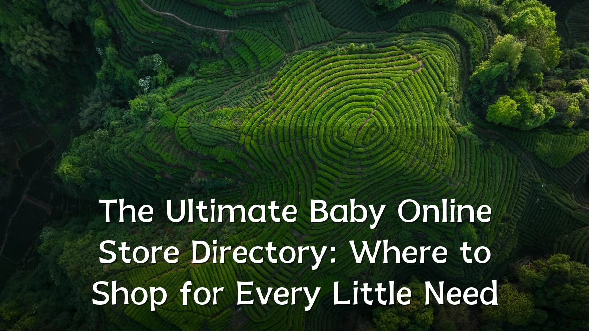 The Ultimate Baby Online Store Directory: Where to Shop for Every Little Need
