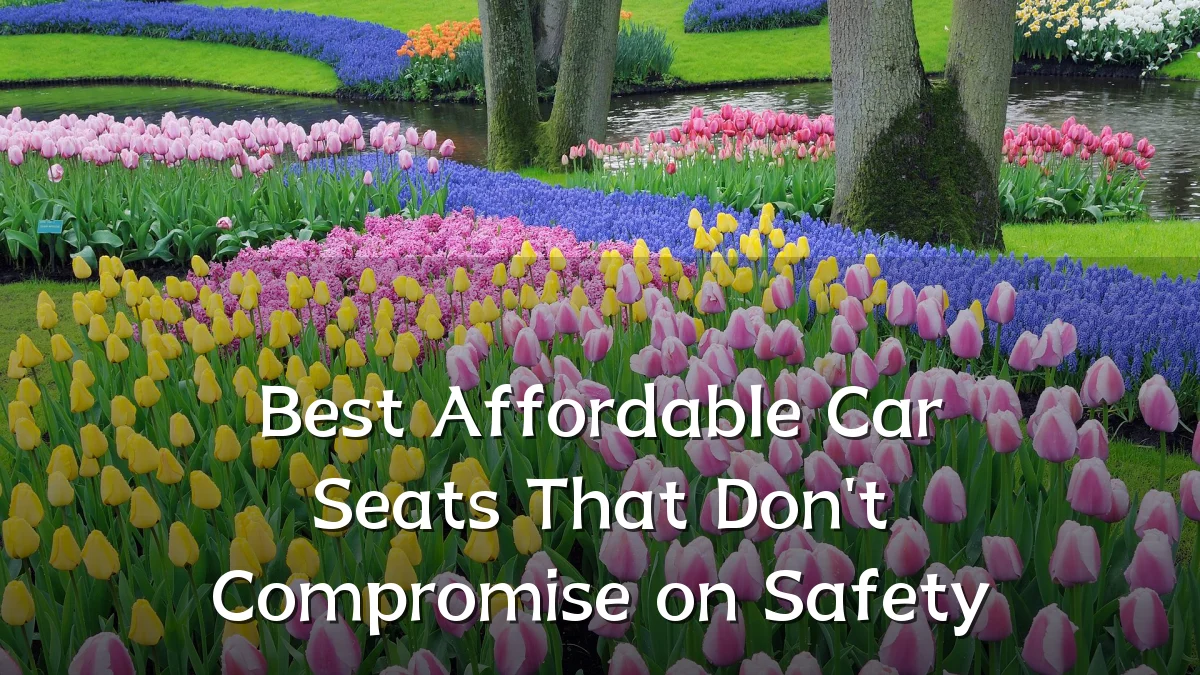Best Affordable Car Seats That Don't Compromise on Safety