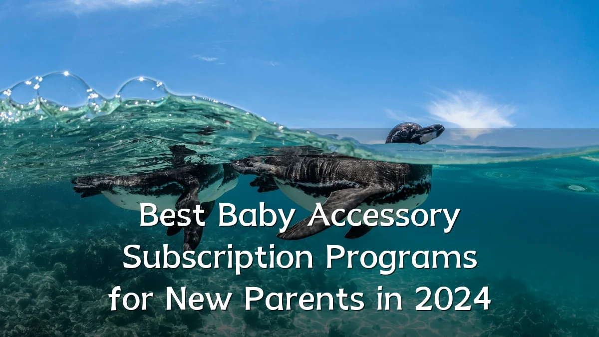 Best Baby Accessory Subscription Programs for New Parents in 2024