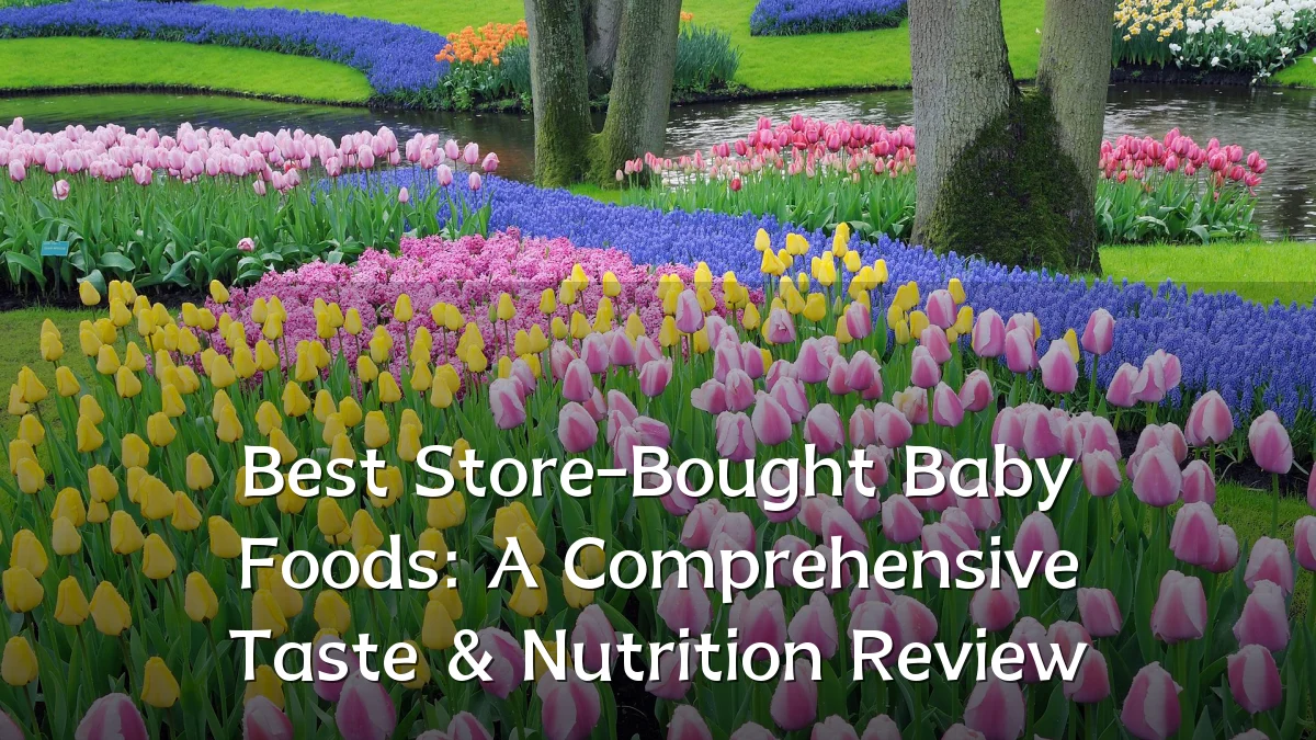 Best Store-Bought Baby Foods: A Comprehensive Taste & Nutrition Review