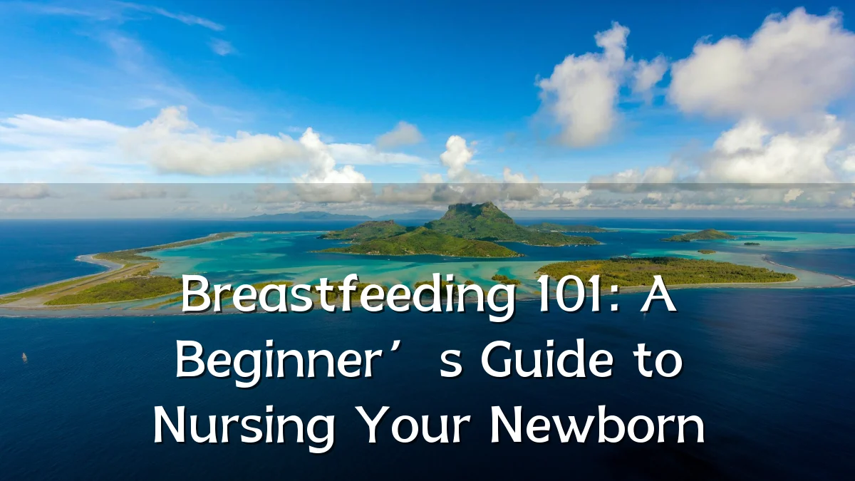 Breastfeeding 101: A Beginner’s Guide to Nursing Your Newborn
