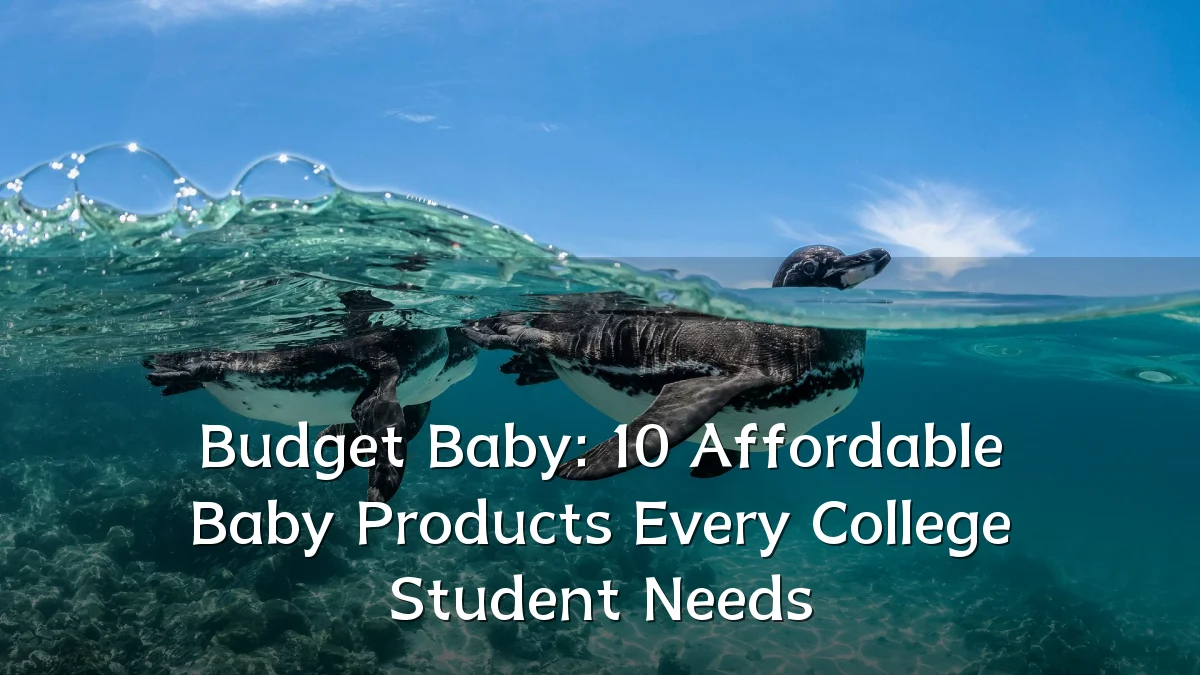 Budget Baby: 10 Affordable Baby Products Every College Student Needs