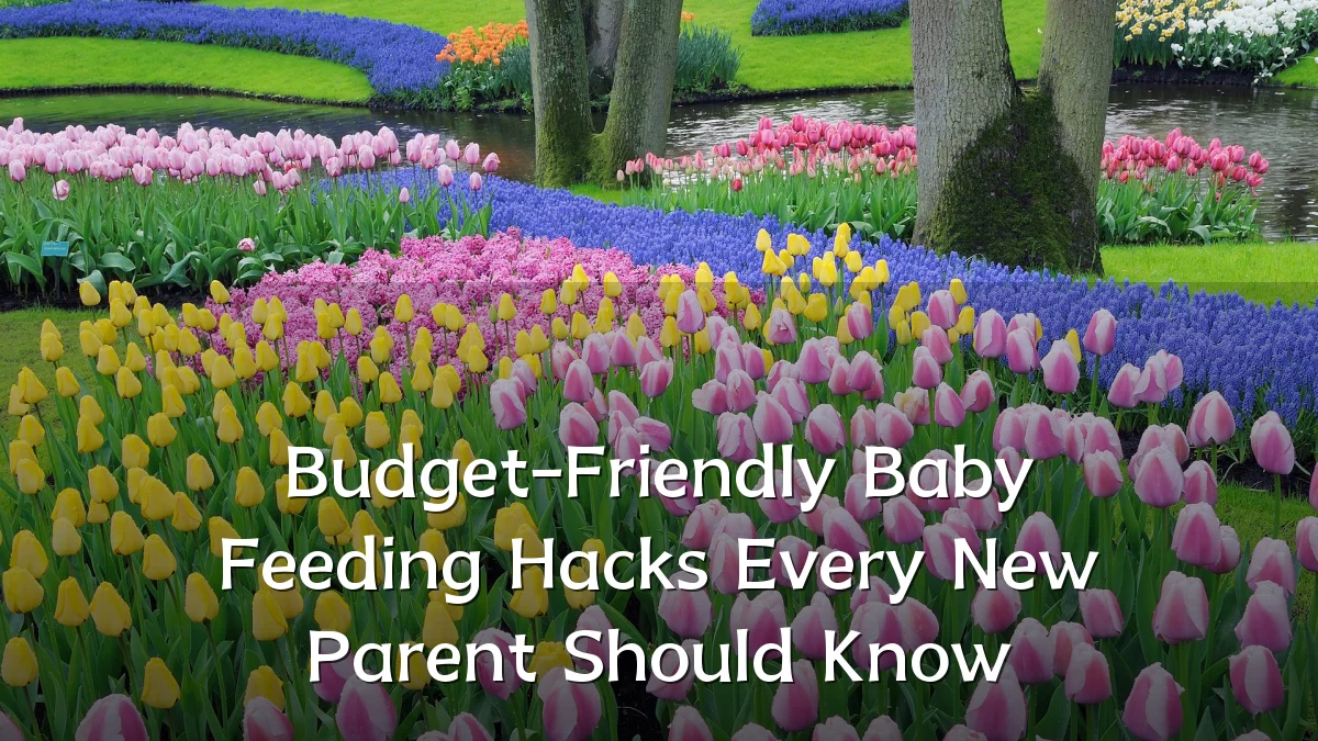 Budget-Friendly Baby Feeding Hacks Every New Parent Should Know