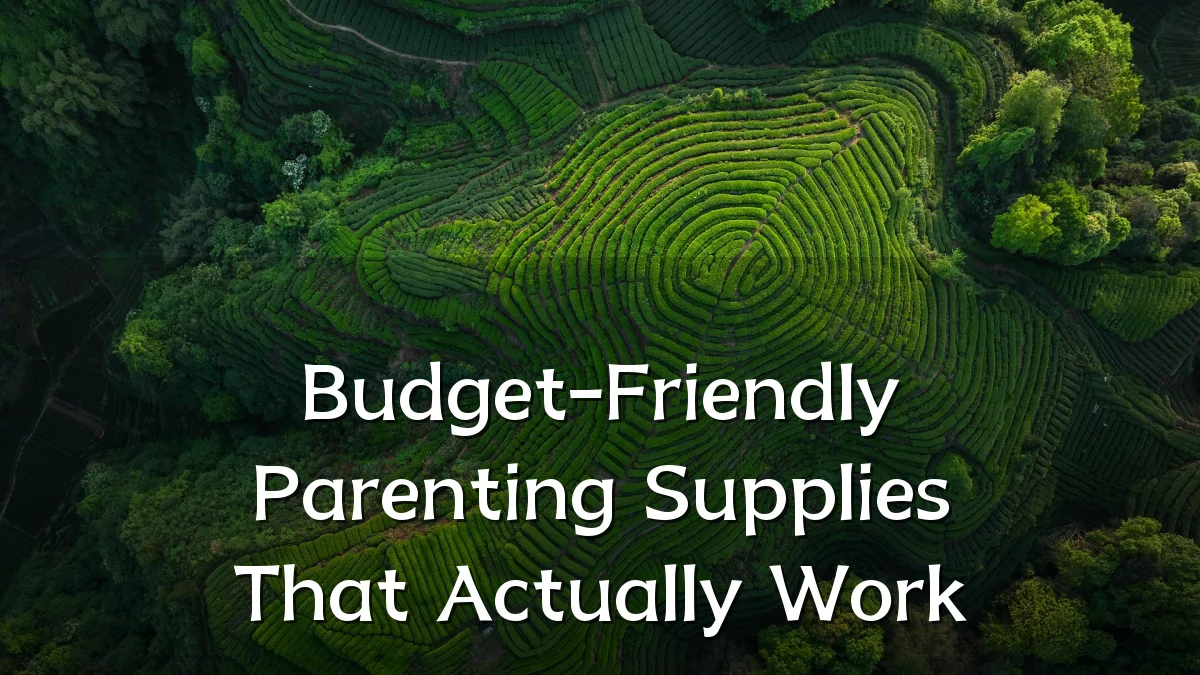 Budget-Friendly Parenting Supplies That Actually Work