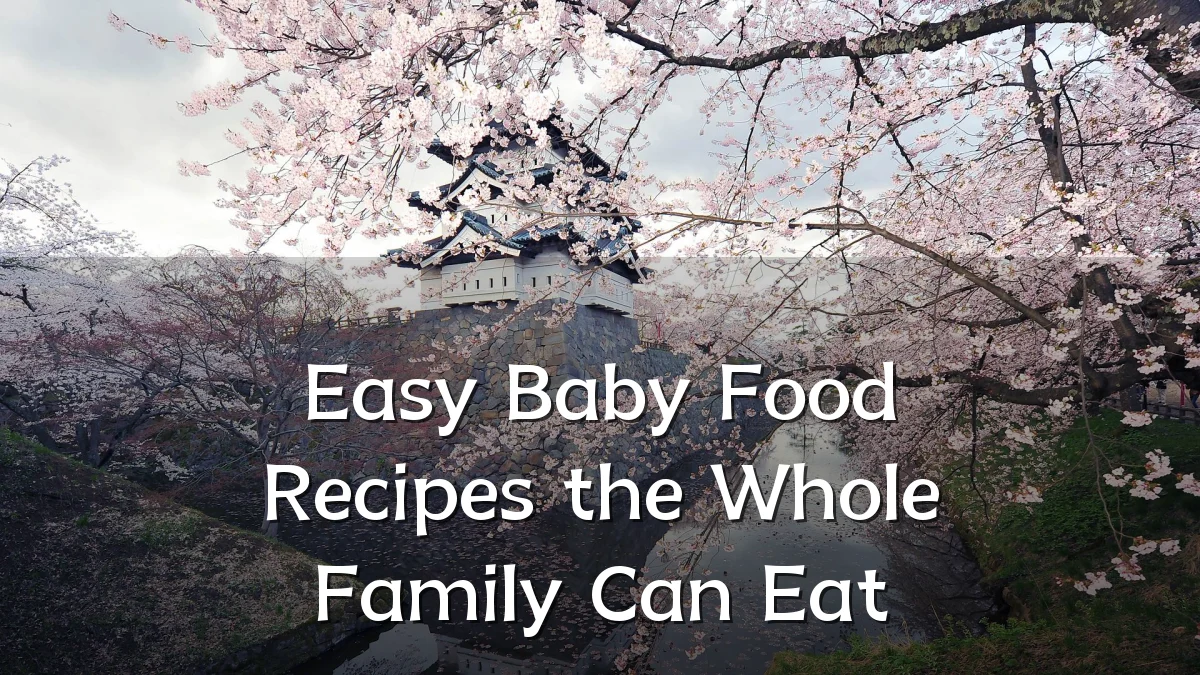 Easy Baby Food Recipes the Whole Family Can Eat