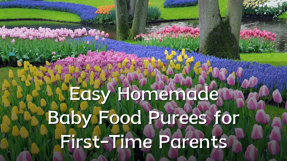 Easy Homemade Baby Food Purees for First-Time Parents