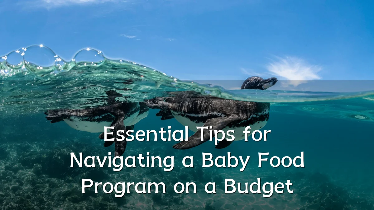 Essential Tips for Navigating a Baby Food Program on a Budget