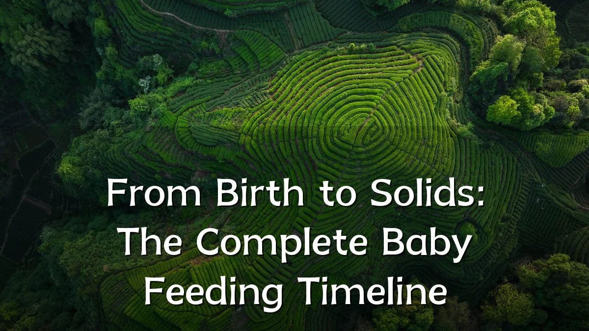 From Birth to Solids: The Complete Baby Feeding Timeline