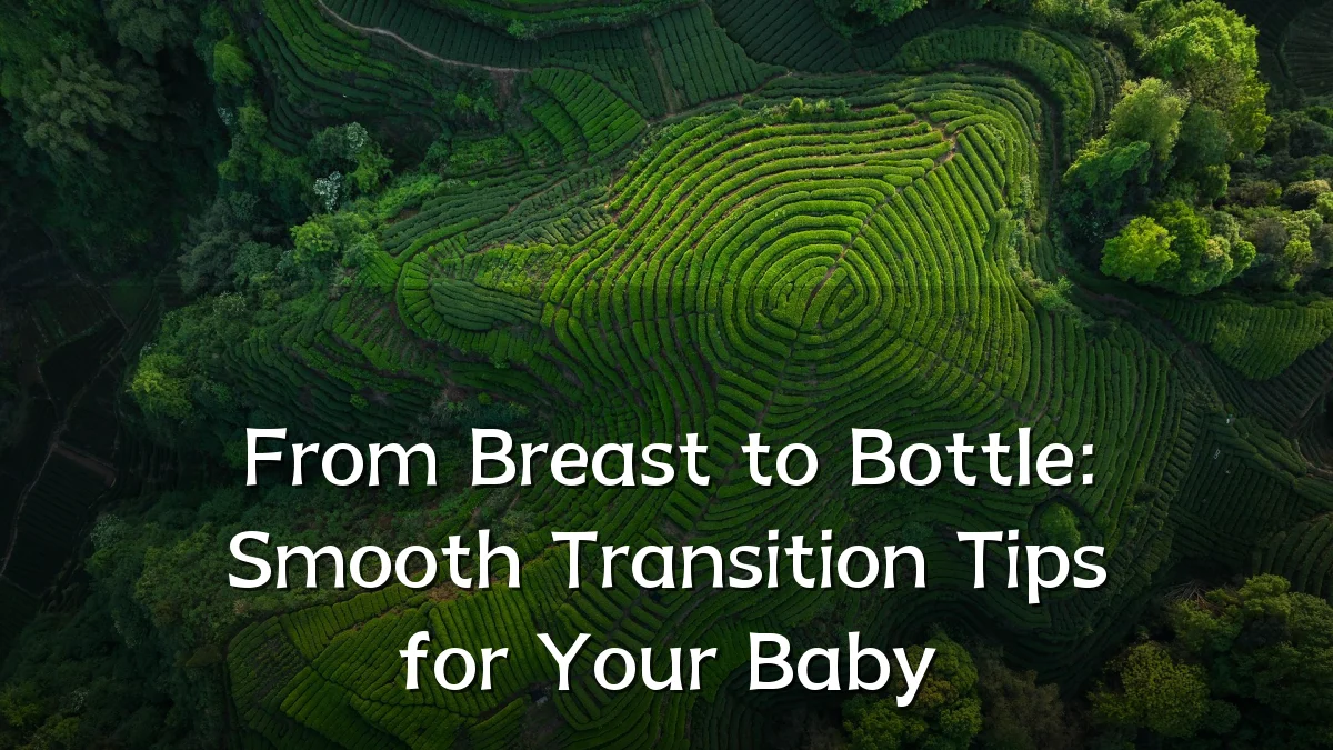 From Breast to Bottle: Smooth Transition Tips for Your Baby