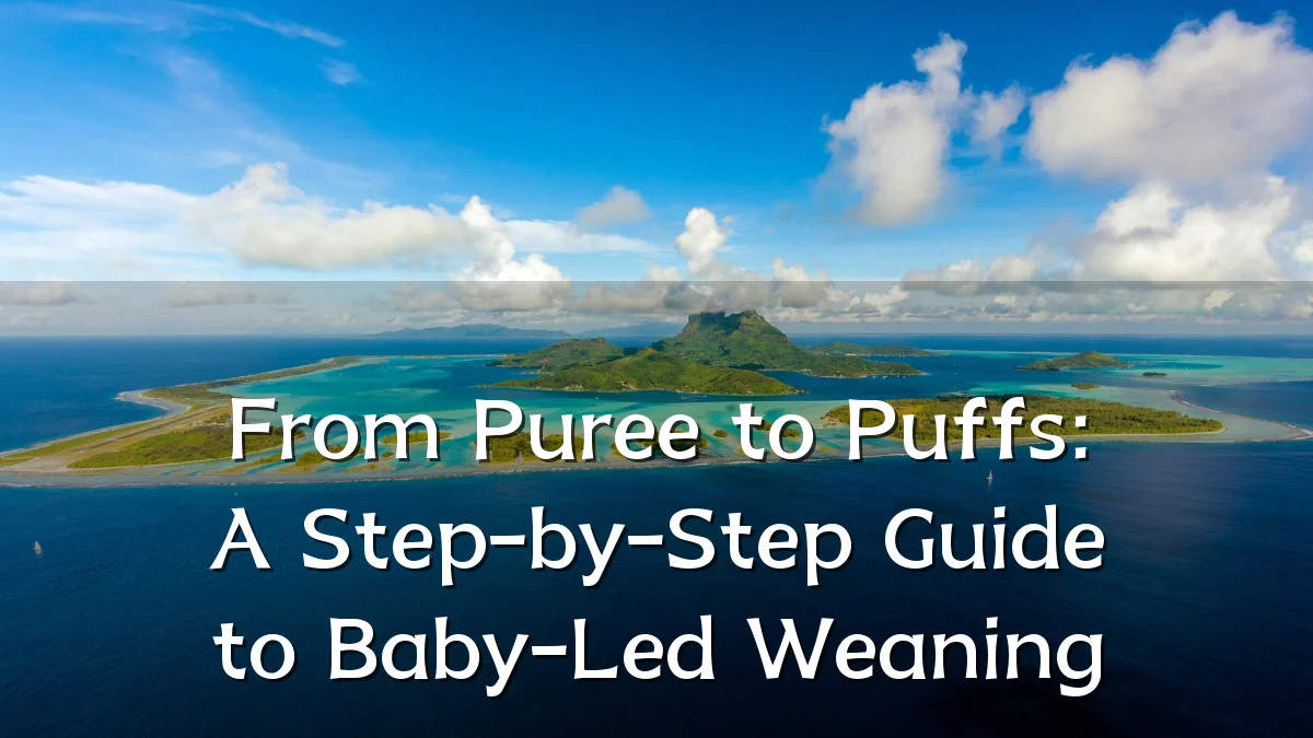 From Puree to Puffs: A Step-by-Step Guide to Baby-Led Weaning