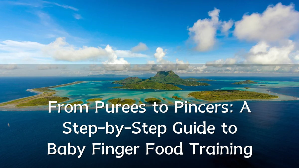 From Purees to Pincers: A Step-by-Step Guide to Baby Finger Food Training