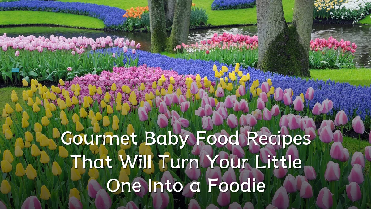 Gourmet Baby Food Recipes That Will Turn Your Little One Into a Foodie