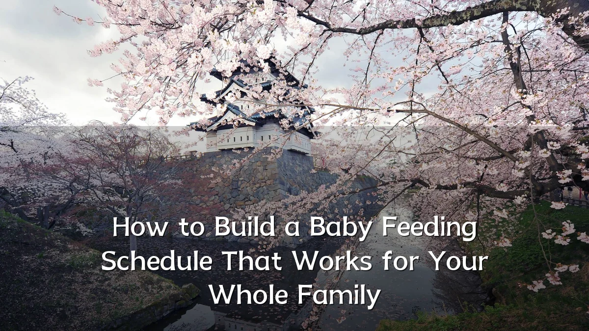 How to Build a Baby Feeding Schedule That Works for Your Whole Family