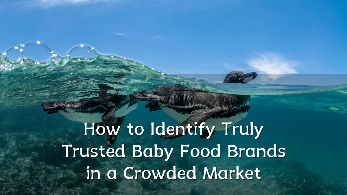 How to Identify Truly Trusted Baby Food Brands in a Crowded Market