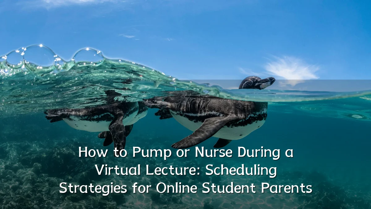 How to Pump or Nurse During a Virtual Lecture: Scheduling Strategies for Online Student Parents