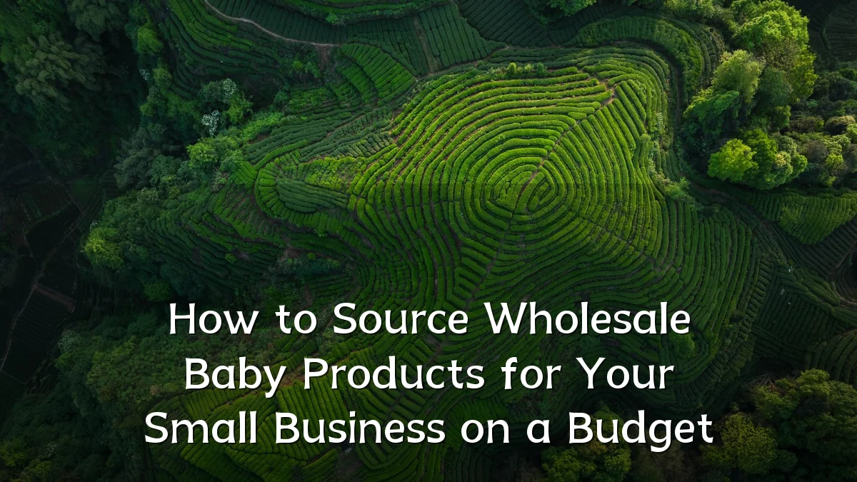How to Source Wholesale Baby Products for Your Small Business on a Budget