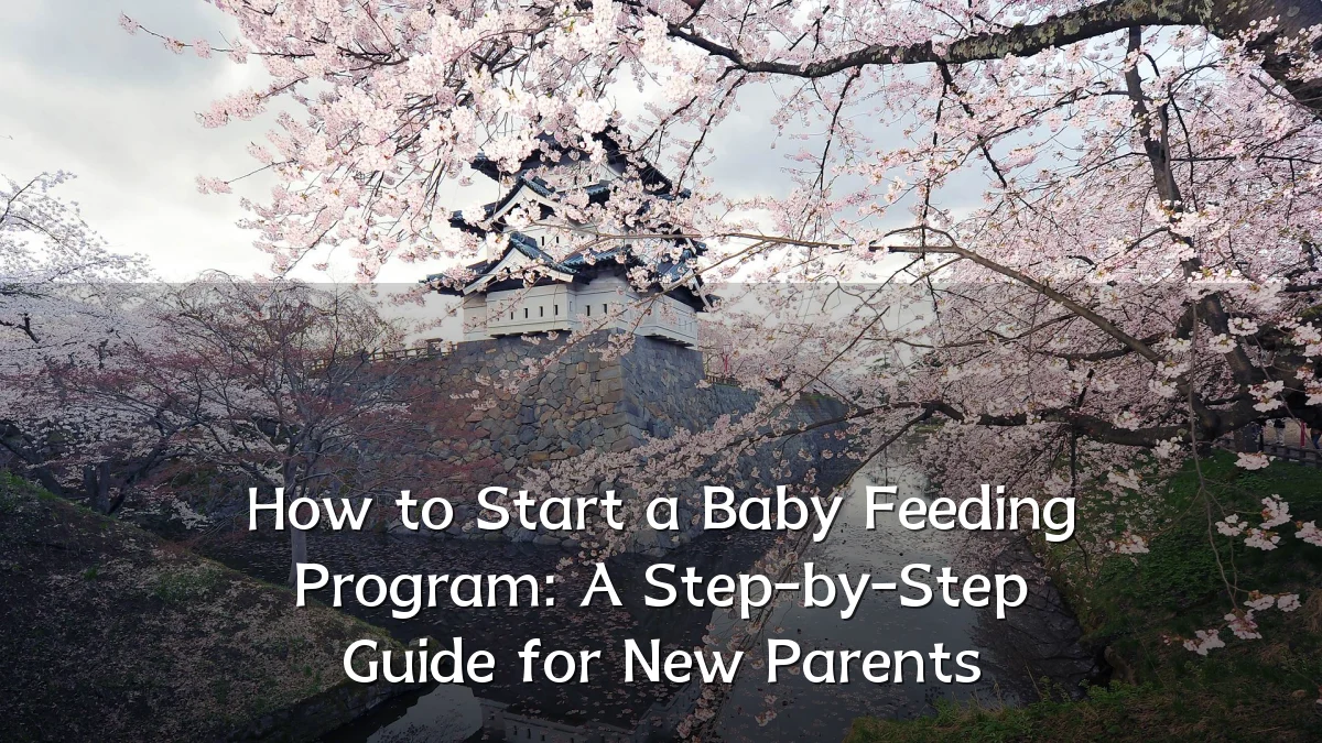 How to Start a Baby Feeding Program: A Step-by-Step Guide for New Parents