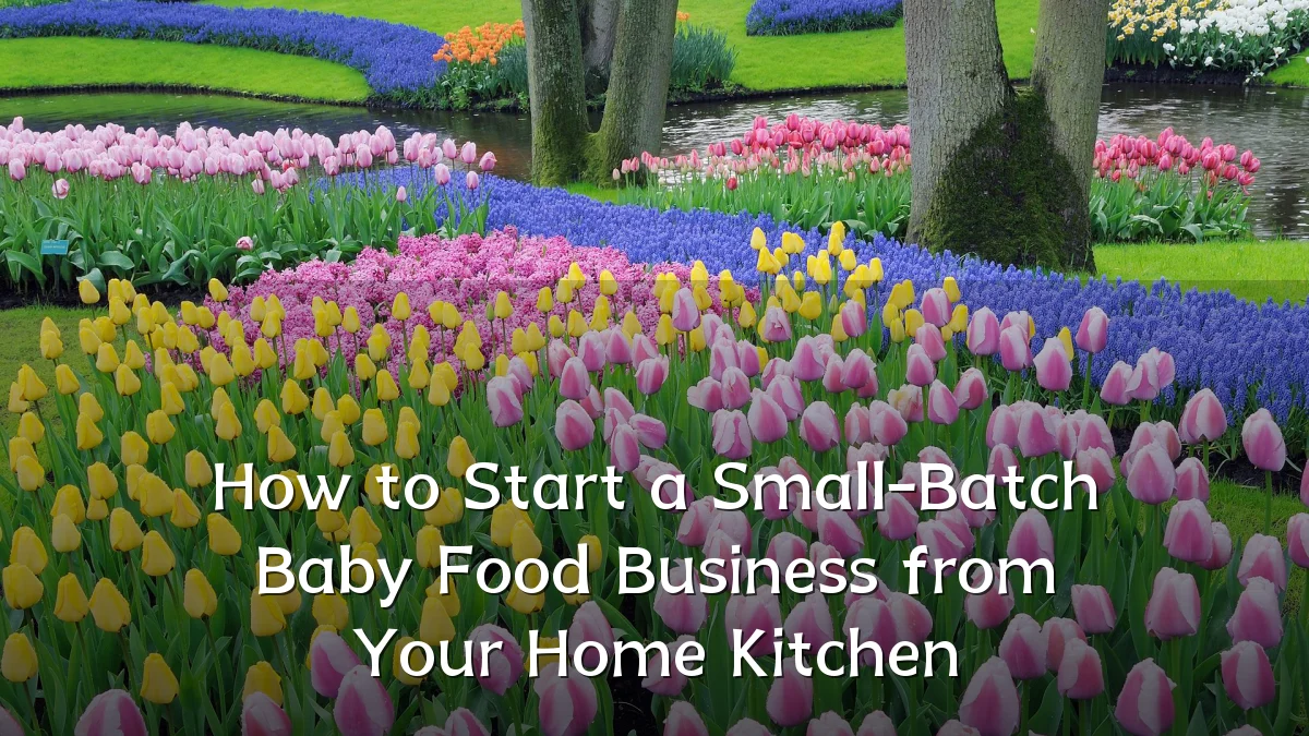 How to Start a Small-Batch Baby Food Business from Your Home Kitchen