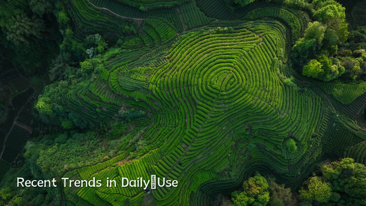 Recent Trends in Daily‑Use