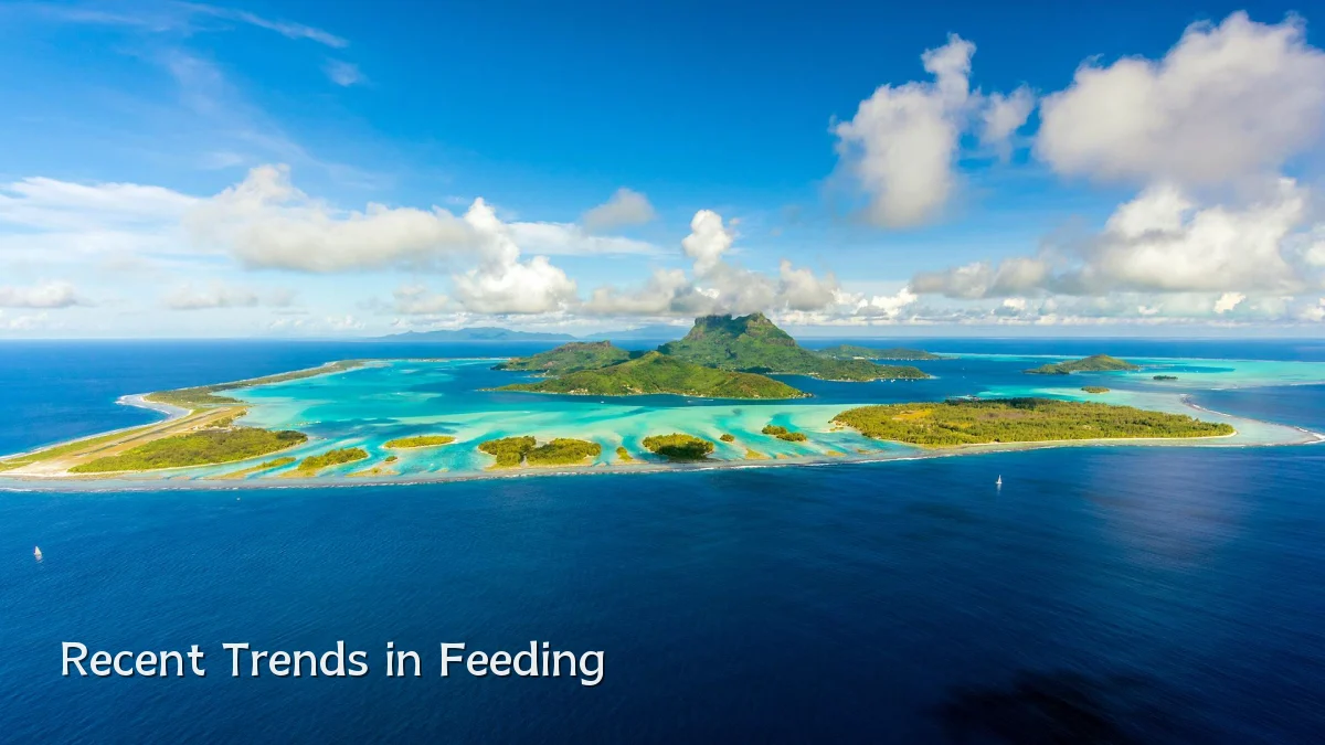 Recent Trends in Feeding