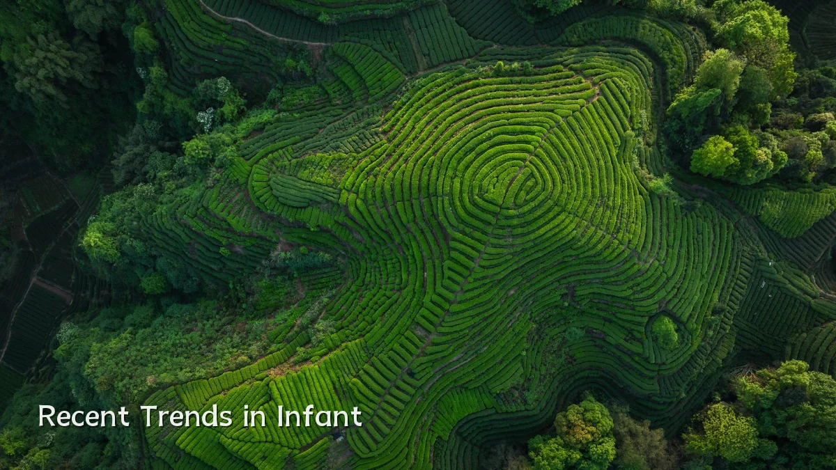 Recent Trends in Infant