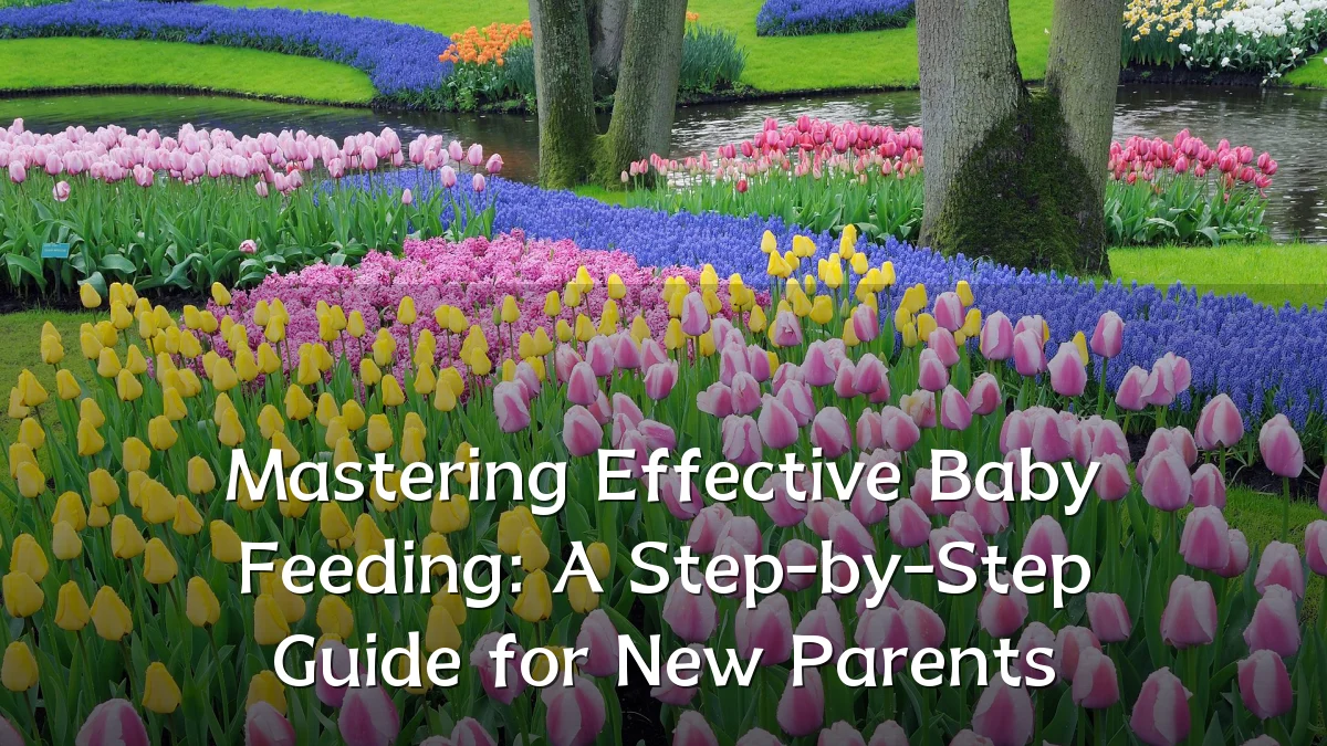 Mastering Effective Baby Feeding: A Step-by-Step Guide for New Parents