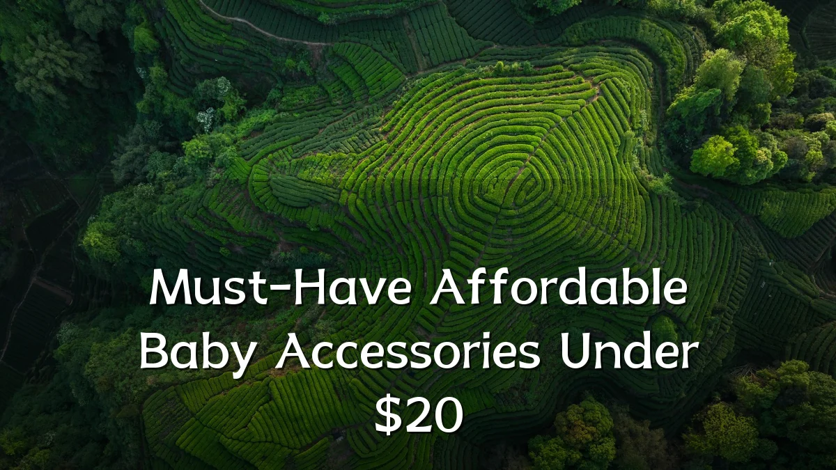 Must-Have Affordable Baby Accessories Under $20