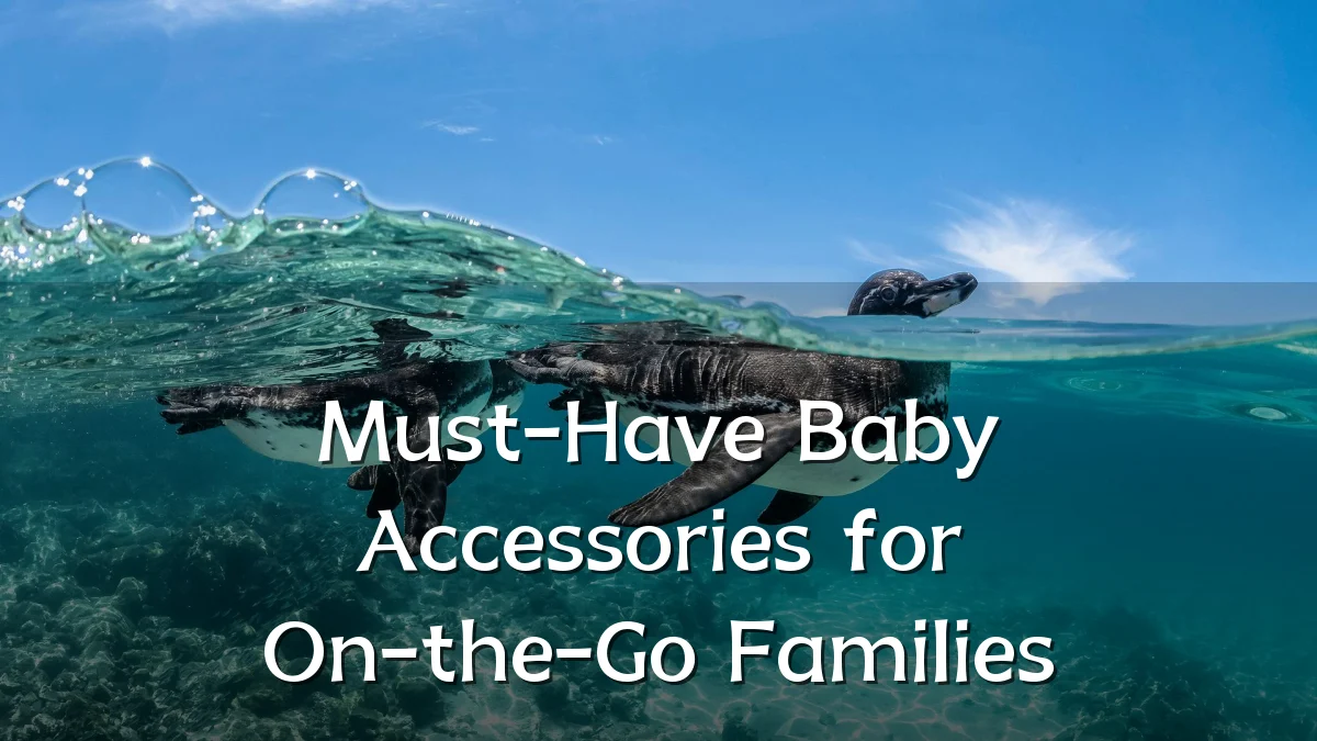 Must-Have Baby Accessories for On-the-Go Families