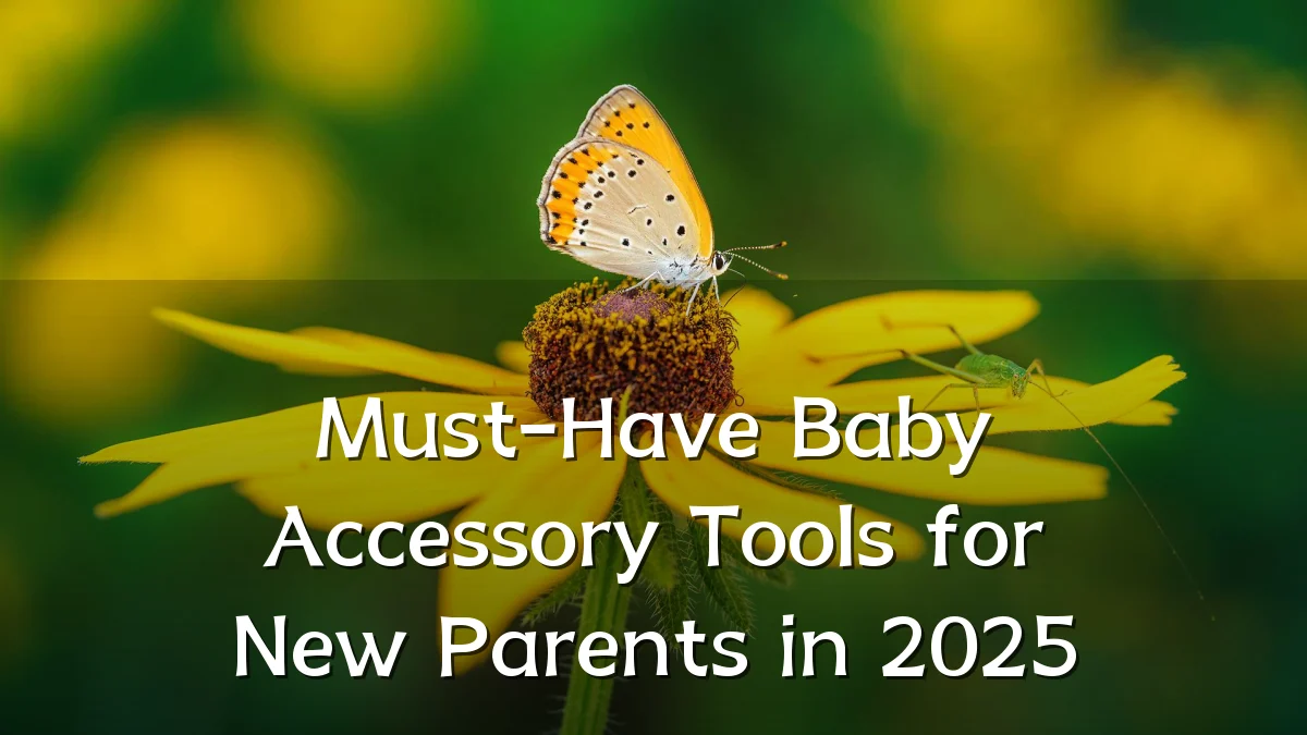 Must-Have Baby Accessory Tools for New Parents in 2025