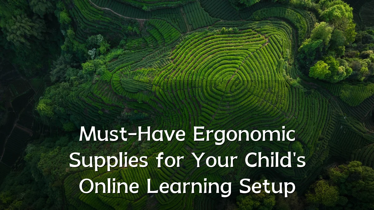 Must-Have Ergonomic Supplies for Your Child's Online Learning Setup