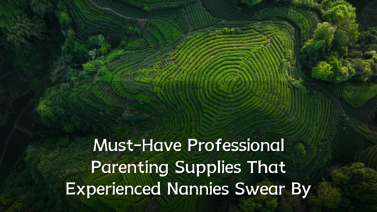 Must-Have Professional Parenting Supplies That Experienced Nannies Swear By