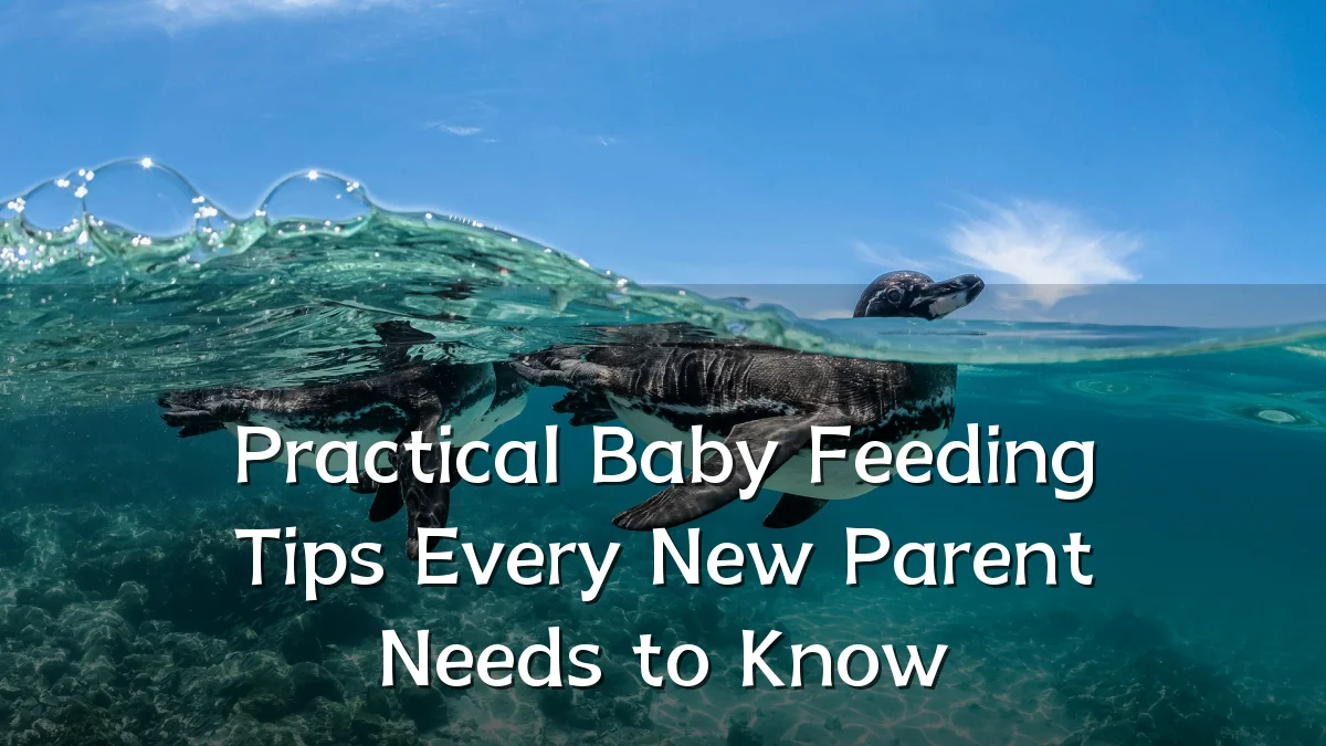Practical Baby Feeding Tips Every New Parent Needs to Know