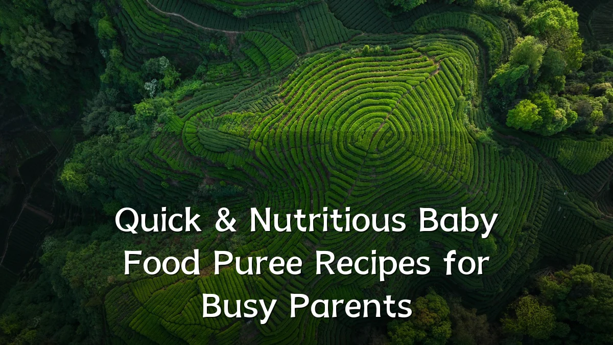 Quick & Nutritious Baby Food Puree Recipes for Busy Parents
