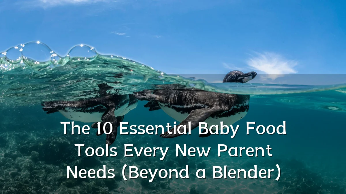 The 10 Essential Baby Food Tools Every New Parent Needs (Beyond a Blender)