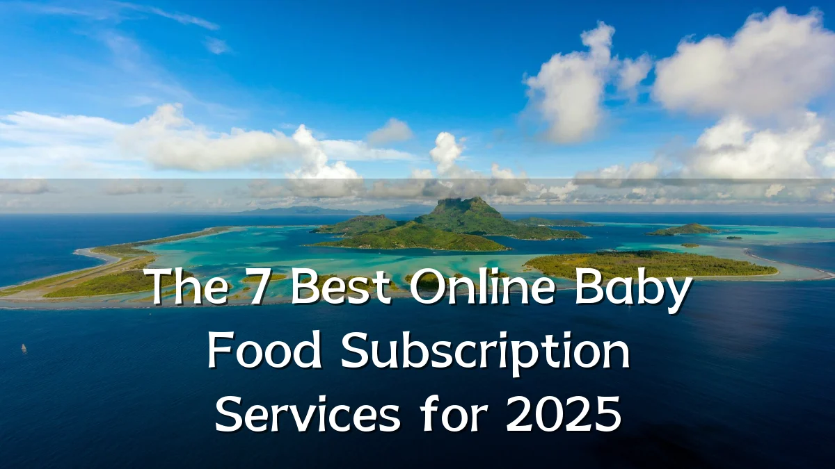The 7 Best Online Baby Food Subscription Services for 2025