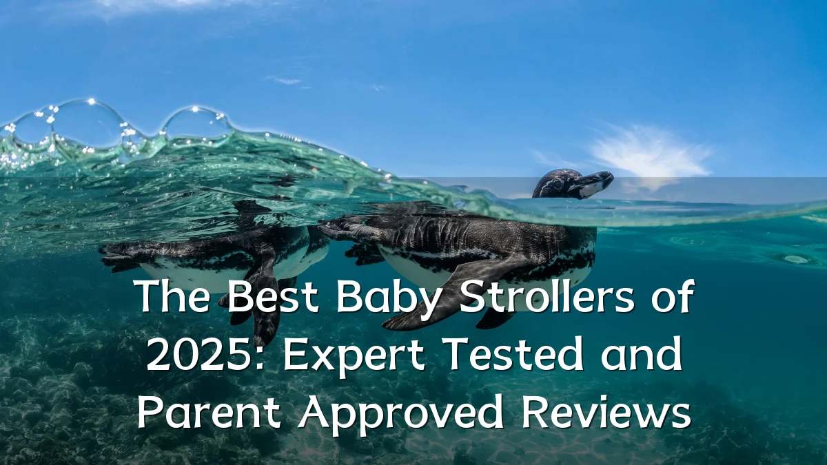The Best Baby Strollers of 2025: Expert Tested and Parent Approved Reviews