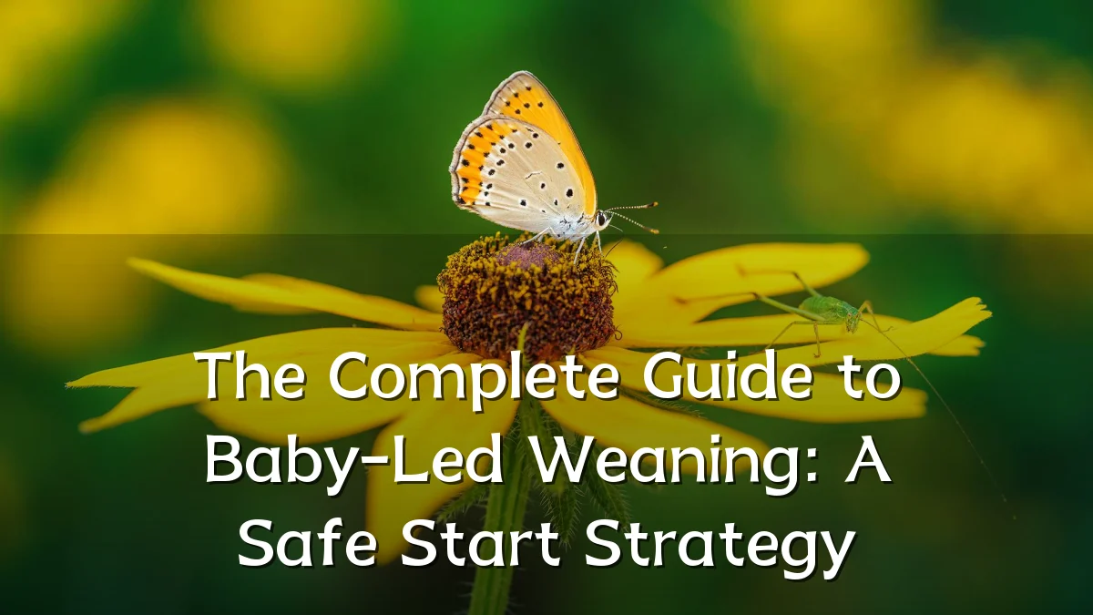 The Complete Guide to Baby-Led Weaning: A Safe Start Strategy