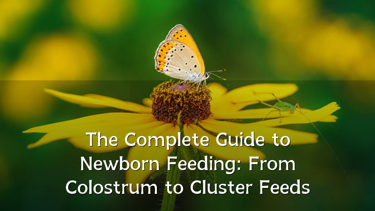 The Complete Guide to Newborn Feeding: From Colostrum to Cluster Feeds