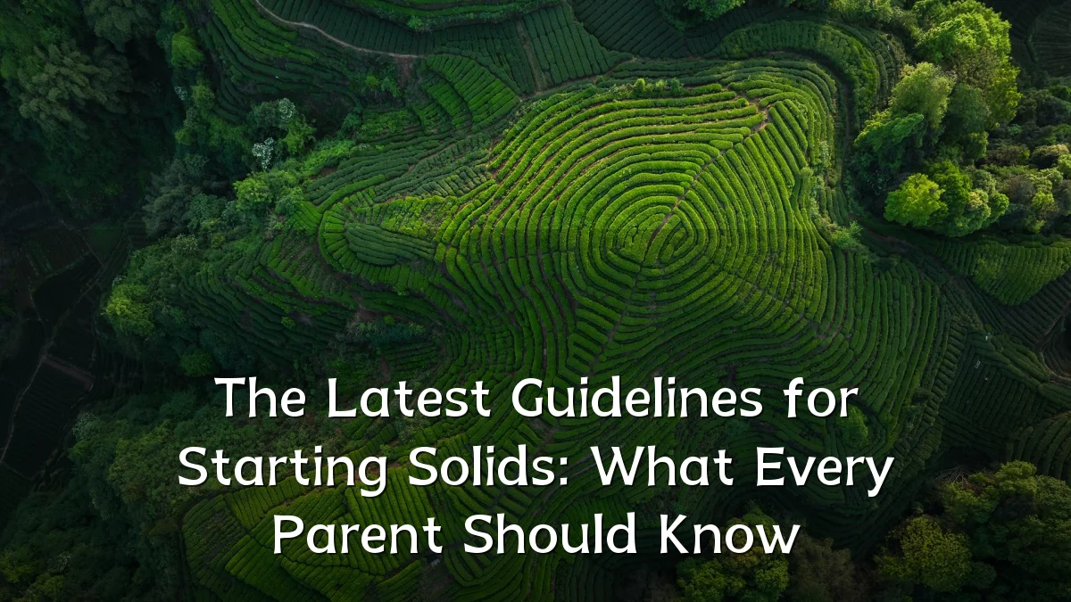 The Latest Guidelines for Starting Solids: What Every Parent Should Know
